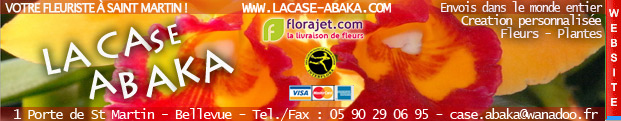 Florajet saint martin - case abaka, fleuriste � saint martin